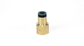 Female Straight 1/4"FNPT x 1/4"PTC